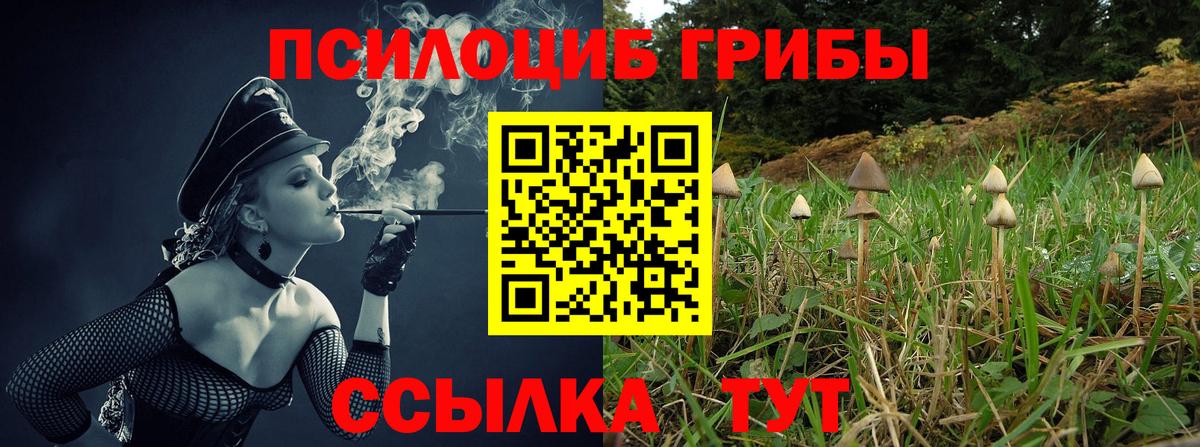 Псилоцибиновые грибы мухоморы  Вход с VPN  Галлюциногенные грибы Psilocybine cubensis  Санкт-Петербург 