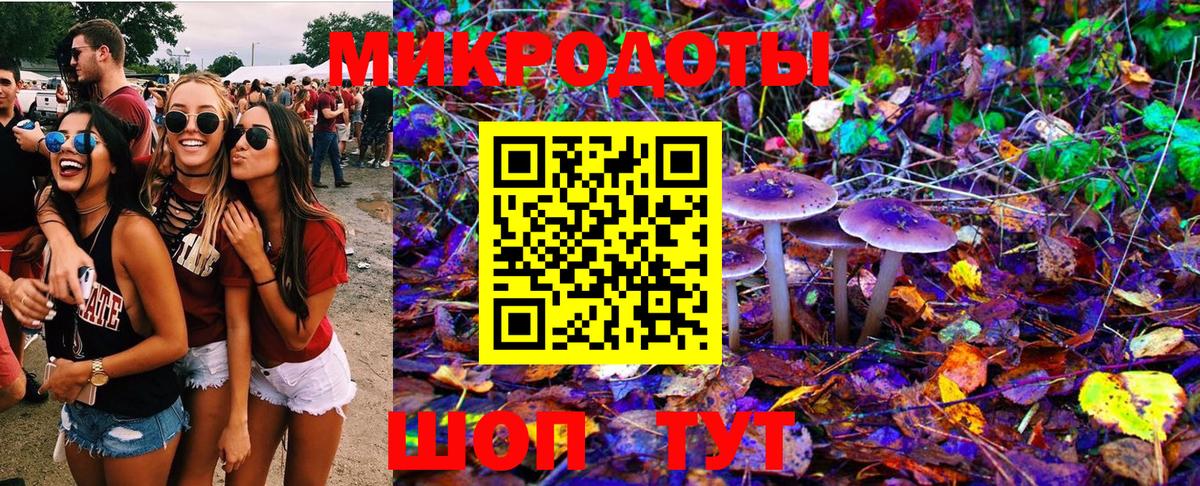 Псилоцибиновые грибы мицелий Санкт-Петербург